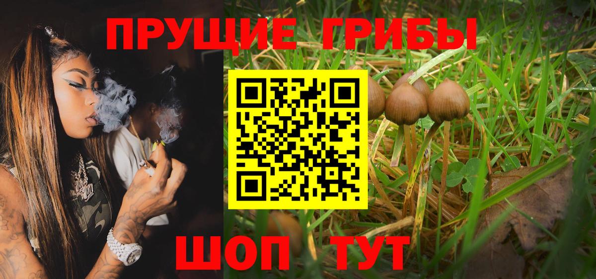 Галлюциногенные грибы GOLDEN TEACHER Сибай